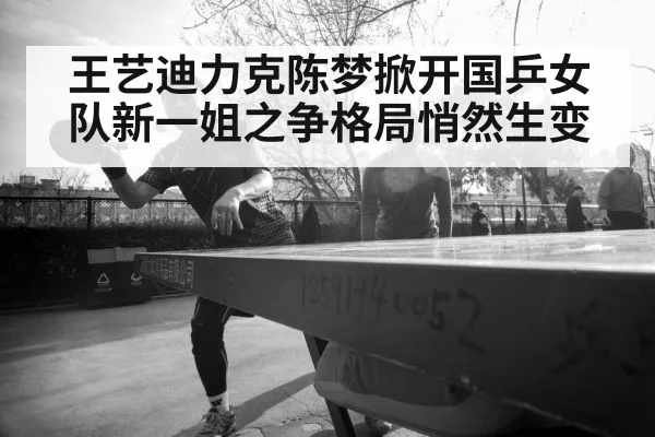 chinese table tennis team