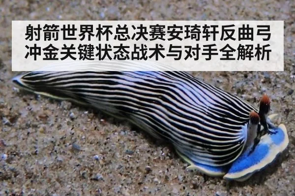 射箭世界杯总决赛安琦轩反曲弓冲金关键状态战术与对手全解析